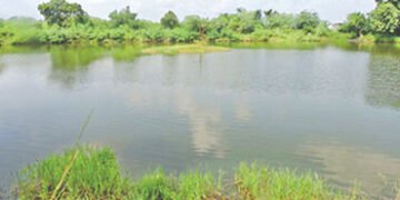વડોદરાની સંસ્થાએ નાનકડા ગામના તળાવને ઈકો ફ્રેન્ડલી ટેકનિકથી પુનઃજીવિત કર્યું | gujarat ecology socie…