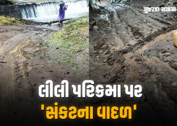માવઠાના કારણે ગિરનારની લીલી પરિક્રમા પર ‘સંકટના વાદળ’, હજુ બે દિવસ વરસાદની આગાહી | Gujarat Rains Dis…