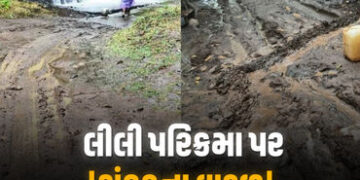 માવઠાના કારણે ગિરનારની લીલી પરિક્રમા પર ‘સંકટના વાદળ’, હજુ બે દિવસ વરસાદની આગાહી | Gujarat Rains Dis…