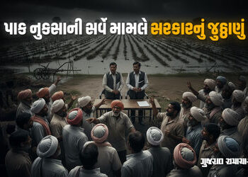 પાક નુકસાની સર્વે મામલે ગુજરાત સરકારનું જુઠ્ઠાણું! મૌખિક આદેશ અને પરિપત્રમાં વિસંગતતાના કારણે ખેડૂત …