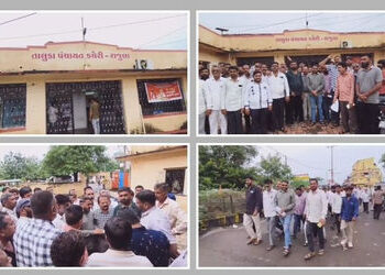 પાક નુકસાની વળતર માટે ડિજિટલ સર્વેનો વિરોધ, અમરેલીમાં 72 સરપંચની TDOને રજૂઆત | Amreli: 72 Village Sa…