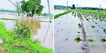 ગળતેશ્વર તાલુકાના 3 ગામની 400 વીઘા જમીન વરસાદી પાણીમાં ગરકાવ | 400 bighas of land in 3 villages of G…