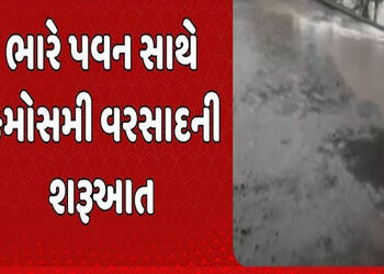 ભારે વરસાદની આગાહી વચ્ચે મહુવા અને તળાજામાં એક-એક ઈંચ વરસાદ | One inch of rain each in Mahuva and Ta…