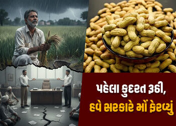 પહેલા કુદરત રૂઠી, હવે સરકારે મોં ફેરવ્યું: અત્યારે ટેકાના ભાવે મગફળીની ખરીદી નહીં કરાય | Gujarat Far…