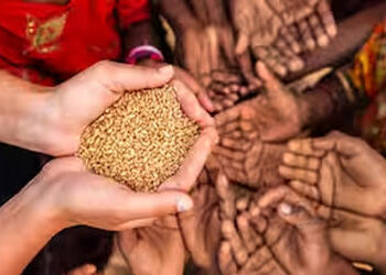 20 પડતર માંગણીઓને લઈ જિલ્લાના 700 રેશન ડીલરો વિતરણ વ્યવસ્થાથી અળગા રહ્યાં | 700 ration dealers remai…