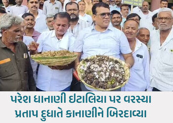 ખેડૂતોને ગિરવે મૂક્યા તો ખેર નથી… ‘ખેડૂત સત્યાગ્રહ’માં સરકાર-‘આપ’ને વિપક્ષની ચીમકી | paresh dhanan…