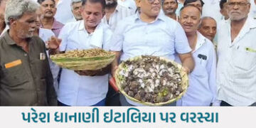 ખેડૂતોને ગિરવે મૂક્યા તો ખેર નથી… ‘ખેડૂત સત્યાગ્રહ’માં સરકાર-‘આપ’ને વિપક્ષની ચીમકી | paresh dhanan…