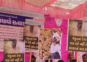 વડીયામાં બગડેલી મગફળીનાં ટોપલાં માથે લઈ મામલતદારને આવેદન અપાયું | A complaint was made to the Mamlat…