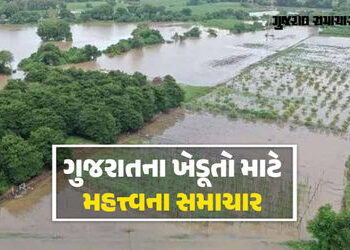 ખેડૂતો માટે ટૂંક સમયમાં વિશેષ આર્થિક પેકેજ જાહેર થાય તેવી શક્યતા, ગાંધીનગરમાં બેઠકોનો ધમધમાટ | Gujar…