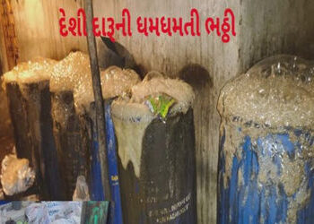 દેશી દારૂની ભઠ્ઠી પર પોલીસની રેઈડ, 105 લીટર દેશી દારૂ ઝડપાયો | Police raid on country liquor factory…