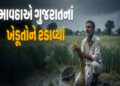 મહુવા પંથકના અસરગ્રસ્ત ખેડૂતોને વળતર ચૂકવવામાં વિલંબ કરાતા રોષ | Anger over delay in compensation pa…