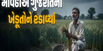 મહુવા પંથકના અસરગ્રસ્ત ખેડૂતોને વળતર ચૂકવવામાં વિલંબ કરાતા રોષ | Anger over delay in compensation pa…