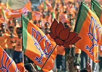 આણંદ જિલ્લા ભાજપ સંગઠનમાં નિમણૂક માટે આણંદ અને સોજીત્રાના ધારાસભ્યોનું લોબિંગ | Lobbying of MLAs fro…