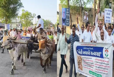 ખેતી બચાવો સત્યાગ્રહ: સાવરકુંડલામાં દેવા માફી સહિતના 15 મુદ્દે પ્લે કાર્ડ-બેનર સાથે ખેડૂતોનું આંદોલન…