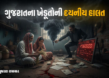 ગુજરાતના ખેડૂતોની દશા : માથે 56,000નું દેવું, જ્યારે મહિનાની આવક માત્ર 12,000 રૂપિયા | gujarat farme…