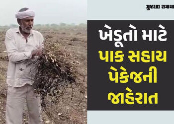 ખેડૂતોને પાક નુકસાની બદલ રૂ. 10 હજાર કરોડનું સહાય પેકેજ જાહેર, સમીક્ષા બેઠક બાદ રાજ્ય સરકારનો નિર્ણય…
