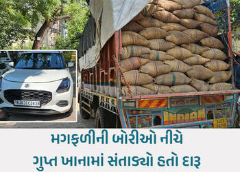ટ્રક છે કે ‘દારૂની ટનલ’? ગોધરામાં મગફળીની આડમાં થતી મદીરાની હેરાફેરી ઝડપાઈ, 3ની ધરપકડ | panchmahal l…