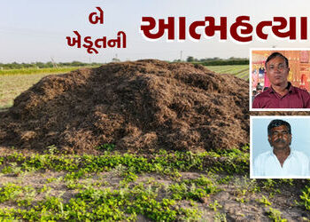 પાક નિષ્ફળ જતાં અરડોઈ અને રેવાણીયામાં બે ખેડૂતની આત્મહત્યા | Two farmers commit suicide in Ardoi and…