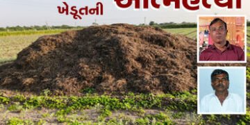 પાક નિષ્ફળ જતાં અરડોઈ અને રેવાણીયામાં બે ખેડૂતની આત્મહત્યા | Two farmers commit suicide in Ardoi and…