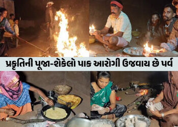 VIDEO| છોટાઉદેપુર: આદિવાસી વિસ્તારમાં અનૂકુળતા પ્રમાણે ઉજવાય છે દેવ દિવાળી, જાણો કેવી છે અનોખી પરંપર…