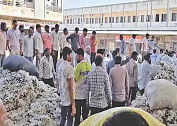 હળવદ માર્કેટયાર્ડમાં હરાજી પહેલાં 400 મણ કપાસ બળીને ખાખ | 400 maunds of cotton burnt to ashes before…