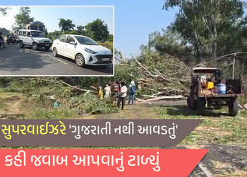 નસવાડી-જબુગામ હાઇવે પર ‘વિકાસ’ના નામે હાલાકી: આડેધડ વૃક્ષો કપાતા કલાકો સુધી ટ્રાફિક જામ, અધિકારીઓ ‘ગ…