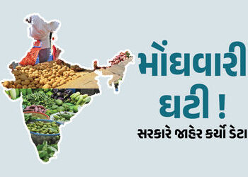 મોંઘવારી ઘટી ! શાકભાજી-ફળોના ભાવ ઘટતાં છૂટક ફુગાવો ઘટીને 0.25% થયો | CPI Inflation : મોંઘવારી ઘટી શા…