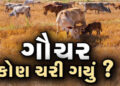 રાજકોટ જિલ્લાના 21 ગામોમાં 501 ઈસમોએ ગૌચર દબાવ્યું | 501 people suppressed grazing in 21 villages of…