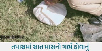 ગોંડલમાં હૃદય કંપાવનારી ઘટના: માતાએ નવજાત શિશુનો મૃતદેહ કચરાના ઢગલામાં ત્યજી દીધો | gondal mother ab…