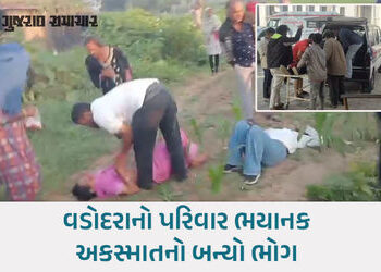 ગોધરા નજીક ગમખ્વાર અકસ્માત: લગ્નમાં જતા વડોદરાના પરિવારની કાર રેલિંગ કૂદી, 5 લોકો હવામાં ફંગોળાયા | …