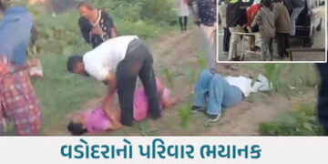 ગોધરા નજીક ગમખ્વાર અકસ્માત: લગ્નમાં જતા વડોદરાના પરિવારની કાર રેલિંગ કૂદી, 5 લોકો હવામાં ફંગોળાયા | …