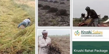 પાક નુકસાન સહાય પેકેજ: આવતીકાલથી ખેડૂતો ઓનલાઈન પોર્ટલ પર કરી શકશે અરજી, જાણો સમગ્ર પ્રક્રિયા | gujar…