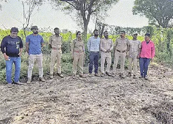 લેકાવાડામાં દીપડો દેખાયાની વાતને લઇ વનવિભાગે ગામમાં ધામા નાંખ્યા