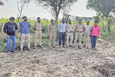 લેકાવાડામાં દીપડો દેખાયાની વાતને લઇ વનવિભાગે ગામમાં ધામા નાંખ્યા