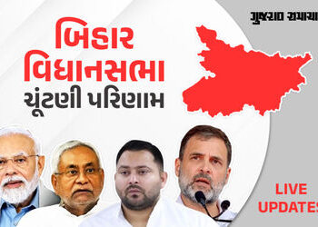 Bihar Election Result 2025:  બિહારમાં 100થી વધુ બેઠકના વલણ જાહેર, NDAને લીડ