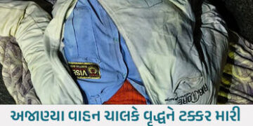 અમદાવાદમાં વધુ એક હિટ એન્ડ રનની ઘટના: 70 વર્ષીય સિક્યુરિટી ગાર્ડનું કમકમાટીભર્યું મોત | Kankaria Roa…