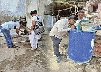 શિયાળાની ઠંડી છતા ૩,૮૬૮ પાણીના પાત્રોમાંથી મચ્છરના પોરા મળી આવ્યા | Despite the cold of winter mosqu…