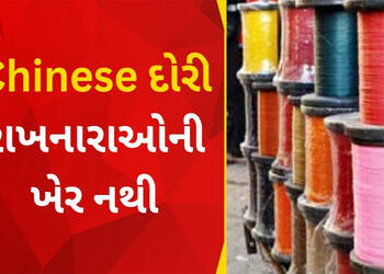 વડતાલમાં રૂા. 3.89 લાખની ચાઈનીઝ દોરી સાથે યુવક ઝડપાયો | Youth caught with Chinese rope worth Rs 3 89…