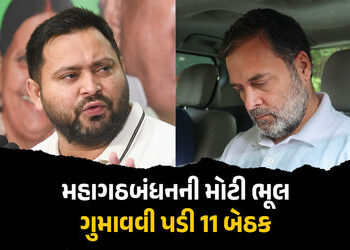 મહાગઠબંધનની પાર્ટીઓ જે બેઠકો પર એકબીજા સામે લડી ત્યાં હારી! NDAએ જીતી તમામ 11 બેઠકો | Bihar Election…