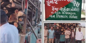 શહેરા નજીક ગેરકાયદે ખેરના લાકડાની હેરાફેરી ઝડપાઈ, લાખોનો મુદ્દામાલ જપ્ત | Major Illegal Wood Smuggli…