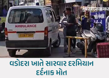 બોડેલી નજીક અલીપુરા ચાર રસ્તા પાસે કરુણાંતિકા: પતંગના ઘાતક દોરાએ બાઈક ચાલકનો ભોગ લીધો | bodeli bike …