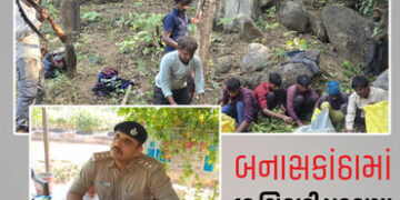 બનાસકાંઠાના ઇકબાલ ગઢની ફોરેસ્ટ રેન્જમાંથી 10 શિકારીઓ હથિયાર સાથે પકડાયા, 4 ફરાર | iqbalgadh forest r…