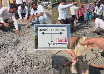 VIDEO: ’10 વર્ષે રોડ બન્યો એ પણ ખરાબ, ડામરનું લેયર હાથથી ઉખડ્યું…’, નસવાડીમાં કોન્ટ્રાક્ટર-અધિકારી…