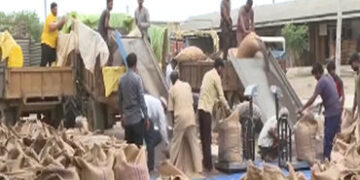 24 નવેમ્બરથી ડાંગર, બાજરી સહિતના પાકની ટેકાના ભાવે કરાશે ખરીદી, રાજ્યભરમાં 113 ખરીદ કેન્દ્રો | Gujar…