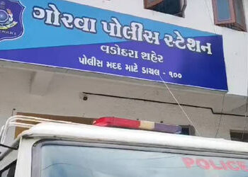 ગાય છોડાવવાપશુમાલિકે ઢોર પાર્ટીના સ્ટાફ સાથે ઝપાઝપી કરી | Cattle owner scuffles with cattle party st…