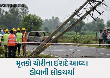 અરવલ્લી: ધનસુરાના ભેસાવાડા પાસે સર્જાયો અકસ્માત, વીજ કરંટ લાગતા બે અજાણ્યા શખ્સો જીવતા ભૂંજાયા | ara…