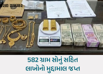 હિંમતનગરના નિવૃત્ત સિટી સર્વેયરની આવક કરતાં 105% વધુ અપ્રમાણસર મિલકતનો પર્દાફાશ | himmatnagar city s…