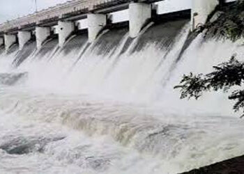 કેનાલ માટે જમીન સંપાદન કરાઈ હોવા છતાં 31 વર્ષ જમણા કાંઠે હજુ પાણી આવ્યું નથી | Despite land acquisit…