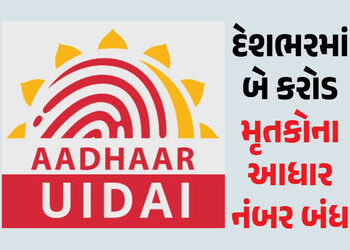 દેશભરમાં બે કરોડ લોકોના આધાર નંબર બંધ, ડેટામાંથી કોના હટાવાયા નામ? UIDAIએ આપી માહિતી | UIDAI deactiv…
