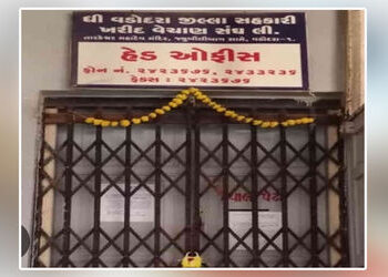 વડોદરા જિલ્લા ખરીદ વેચાણ સંઘની ચૂંટણીમાં ભાજપે 3 માંથી 2 બેઠક ગુમાવી છતાં બોર્ડ ભાજપનું જ બનશે | BJP…